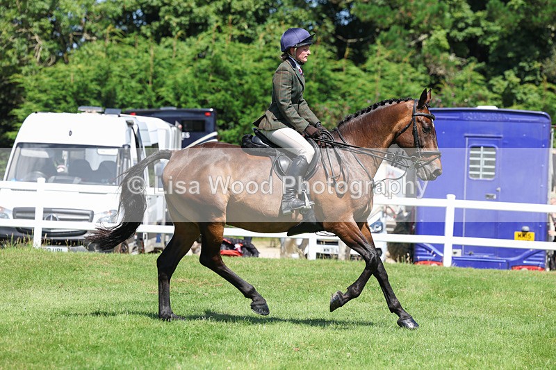 3E7A8965 - Class 6: Open Working Horse