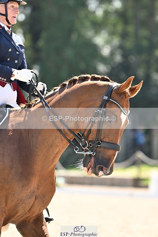 240811-145150-06451 - 121-Debbie.Cole-Dancer.III