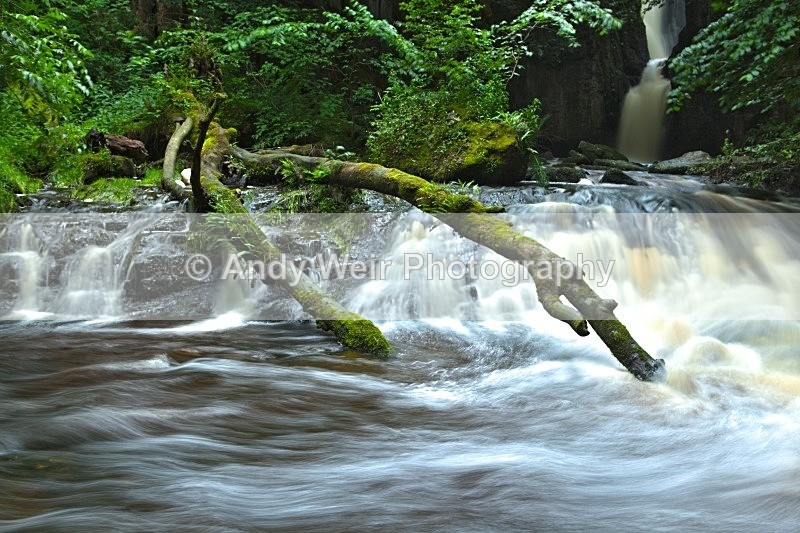 20120630-_MG_9076-1238 - England