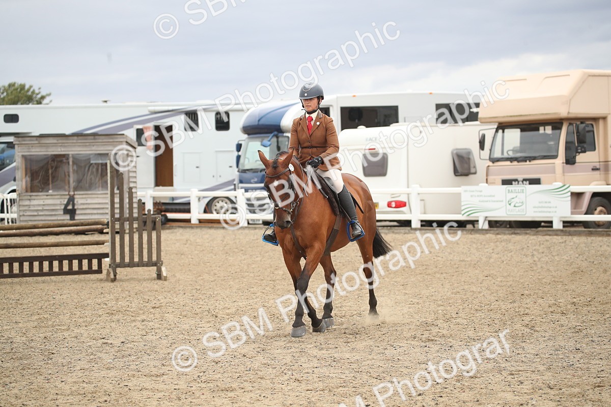 SBM_18505 - Class 510b - Working Veteran 90cm (20+)