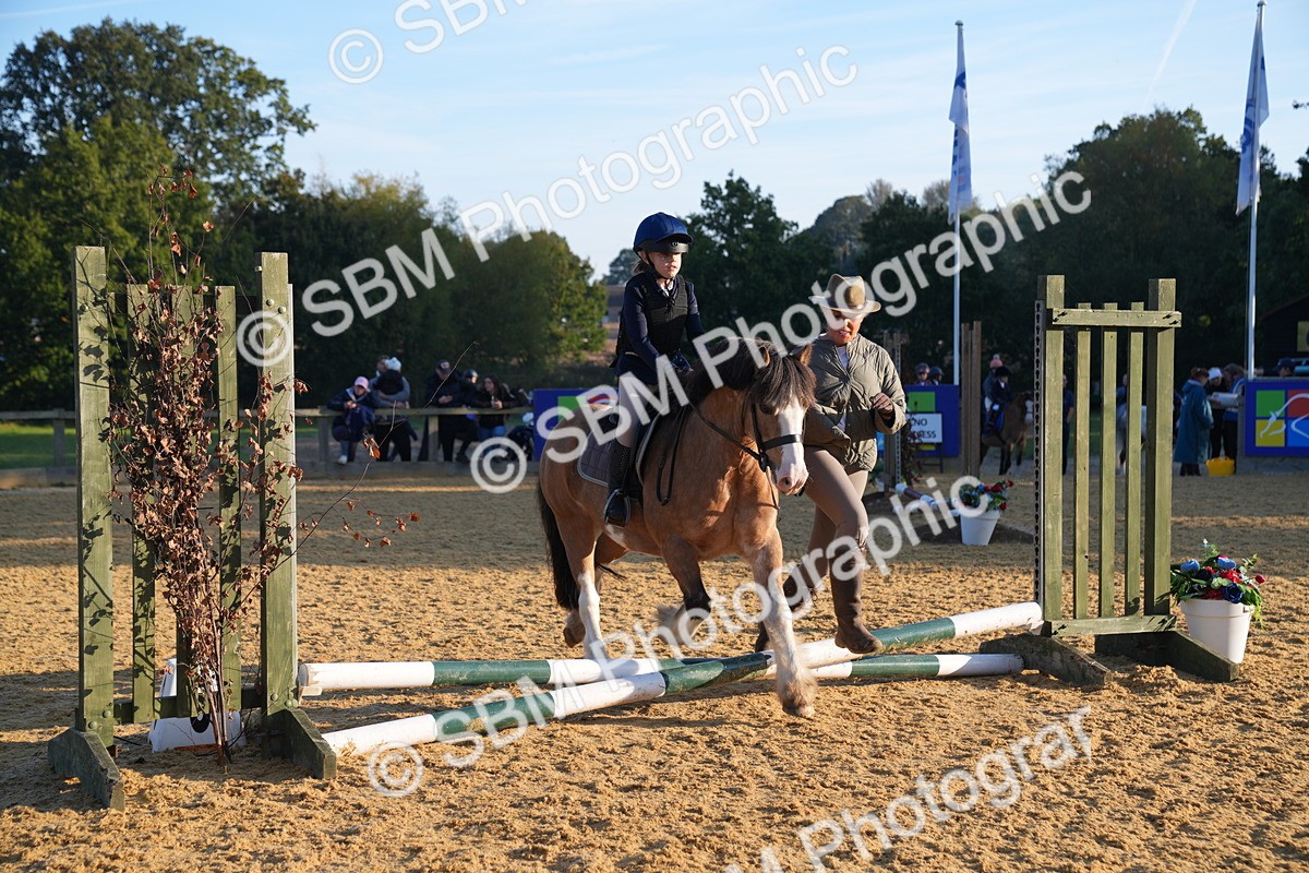 SBM_58931 - J63 - Minis Clear Round 30cm 40cm