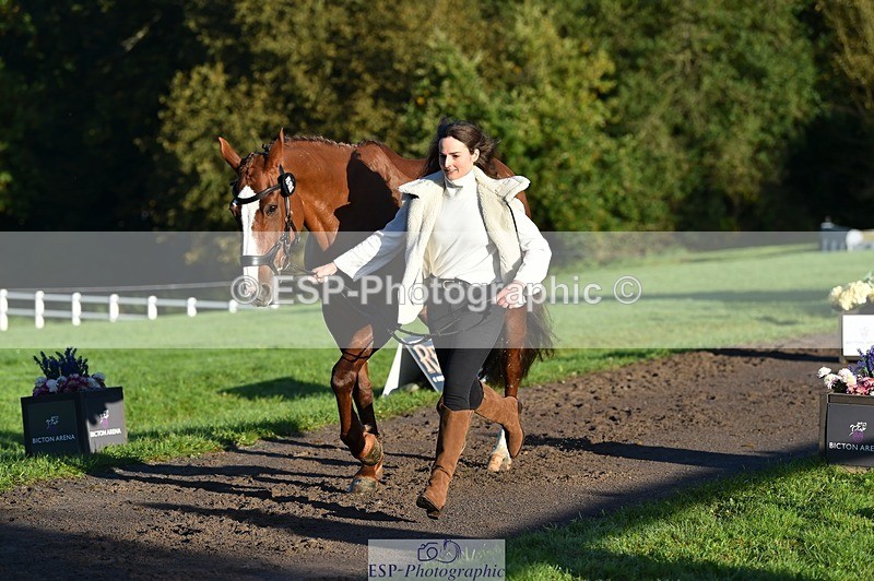 231022-091524-21650 - 667-BAILE.NA.CROISE-Emma.Pine-TrotUp+SJ