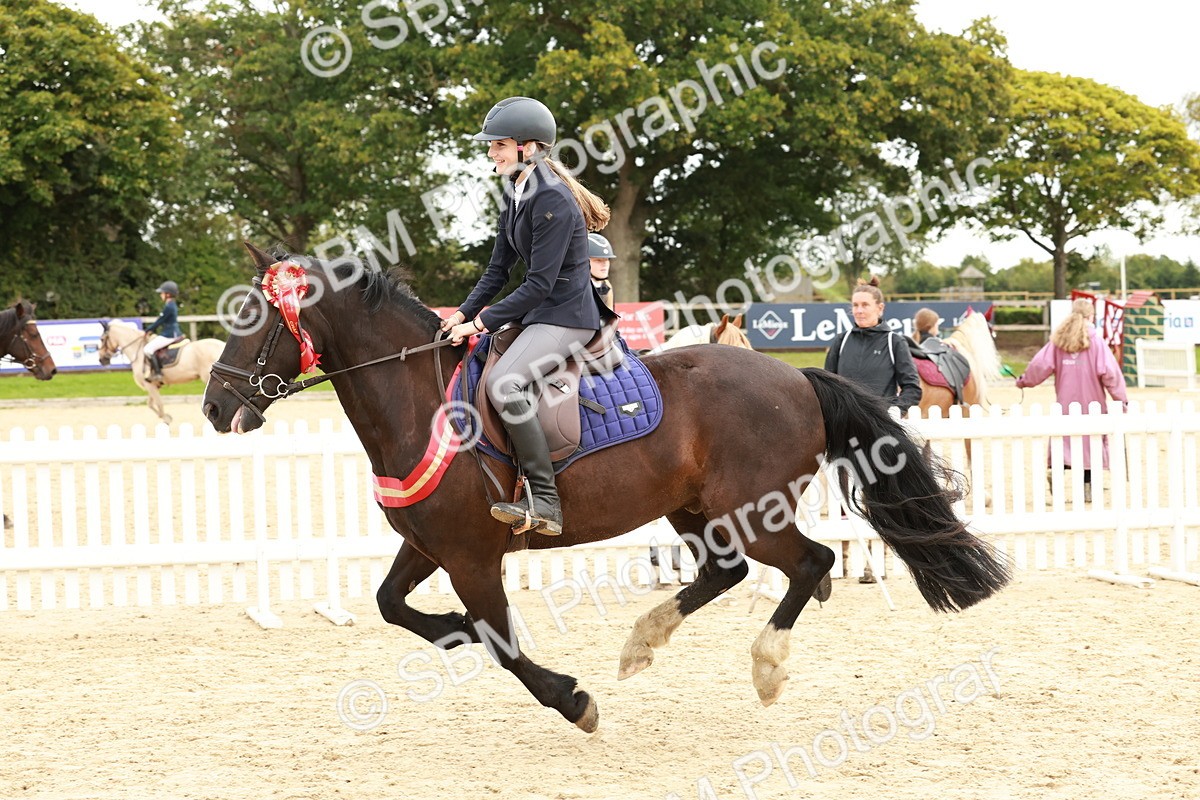 SBM_65346 - Supreme Championship 50cm & 55cm
