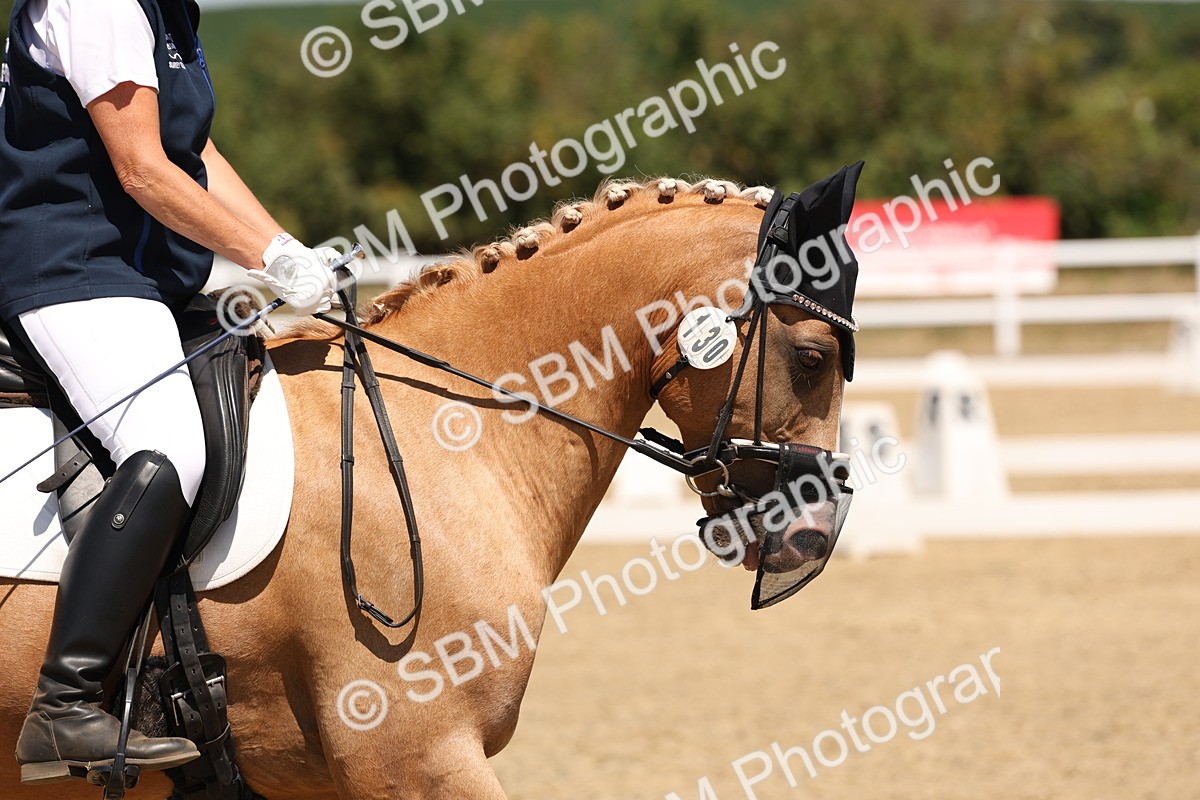 SBM_002225 - Elementary 4 Warm Up