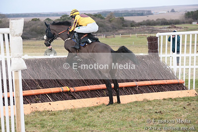 PtP 230119 184 - Royal Artillery Point-to-Point  - Larkhill  - 26/01/19