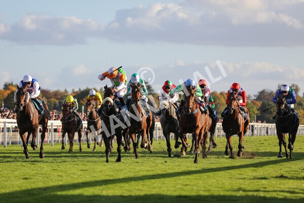 yr08102022r7-26 - Race 7 5.00pm The Coral Gets You Closer To The Action Stakes