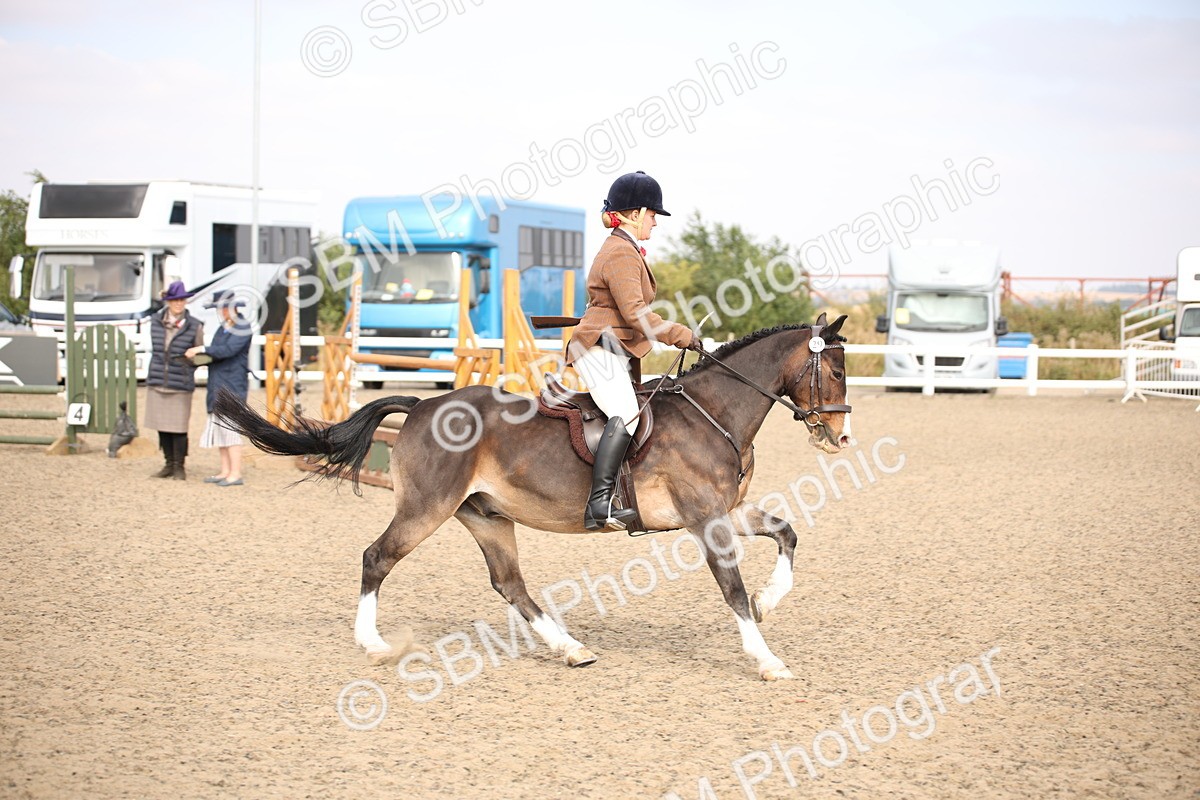 SBM_16084 - Class 408b - Working Veteran 70cm (20+)