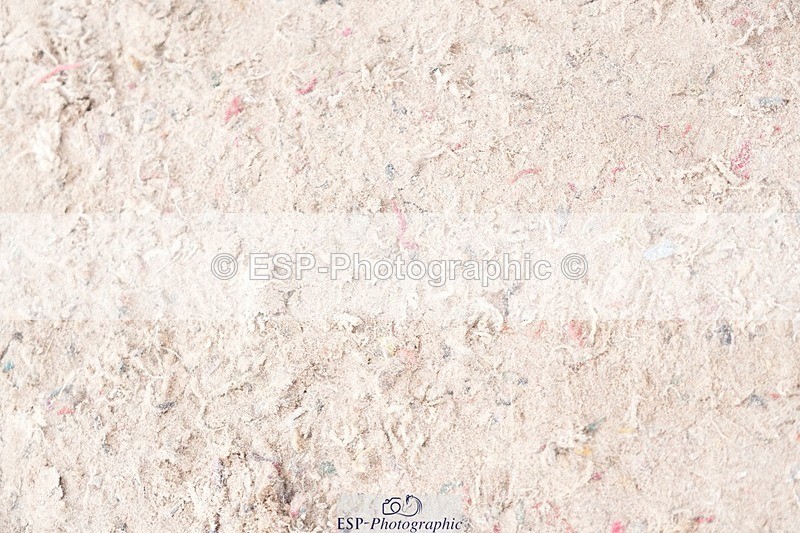 250720-151808-20885 - Cls 32, 1 Star 6yr old Final