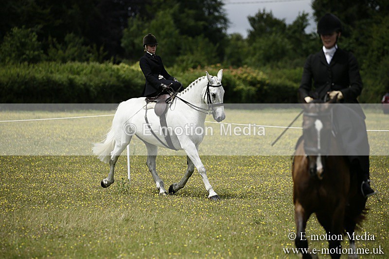 BVR160717-1634 - Side Saddle Classes 16/07/17