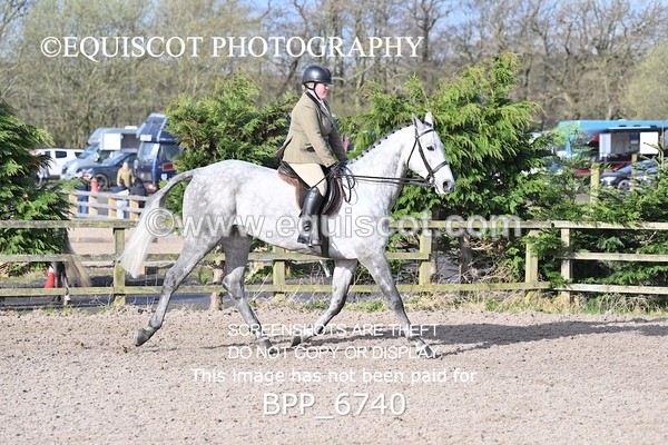 BPP_6740 - RING 1  (RIDDEN HORSES / IN HAND / VETERAN ETC)