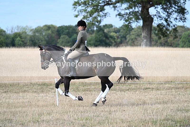 WJ7_7764 - Ridden Championship