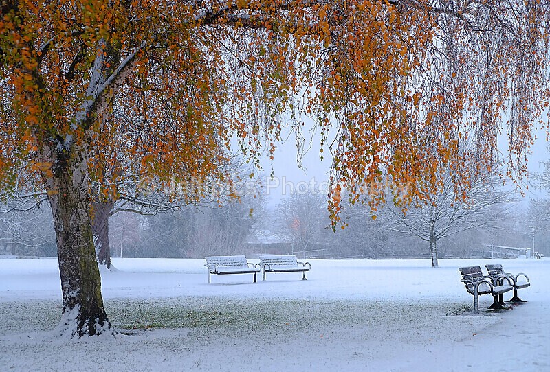  - Landscapes = 'Bedford in the Snow'