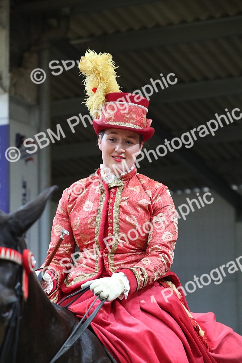 SBM_12160 - Class 107 Ridden Costume- Astride Adult (20+)