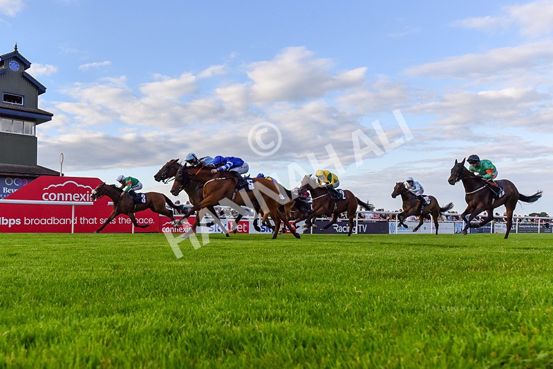 220724-Race 4-Alices Impact-0543 - Race 4