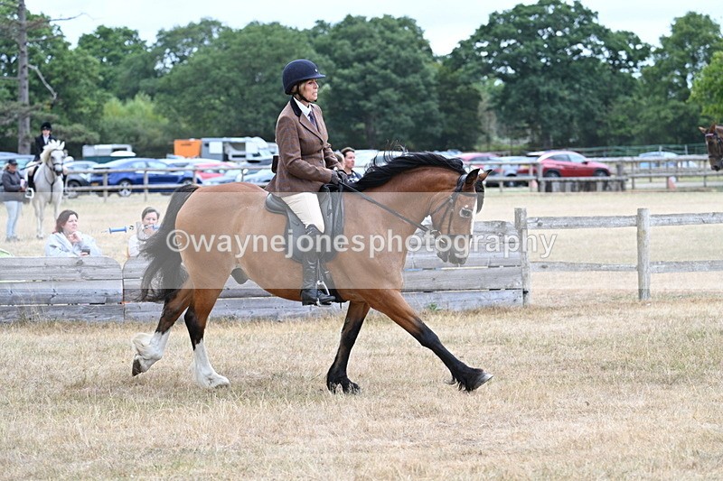 WJ7_0555 - Class 6 Ridden Mountain and Moorland