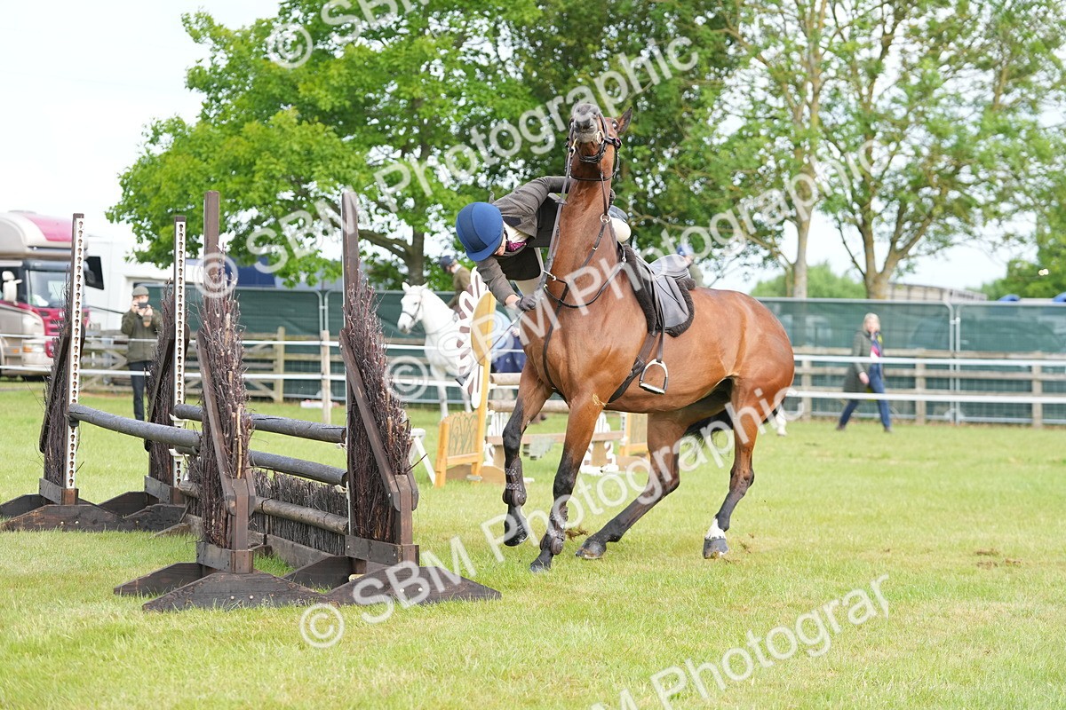 SBM_10462 - Class 97-98 - LIHS BSHA Rising Star Working Show Horse Hunter
