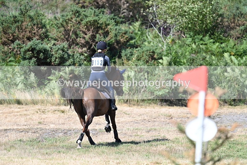 WJ7_4098 - Time 09:28 to 09:56 (time at the photographer)
