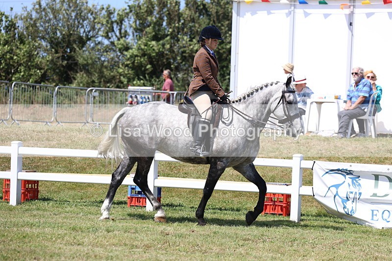 3E7A7974 - Class 9A: Open Small Hunter
