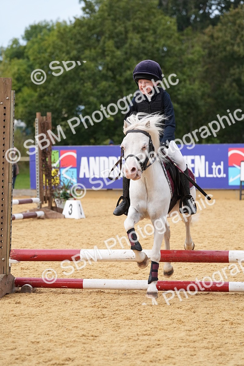 SBM_70611 - J3 - Mini Tour Junior Pony 40cm Championship