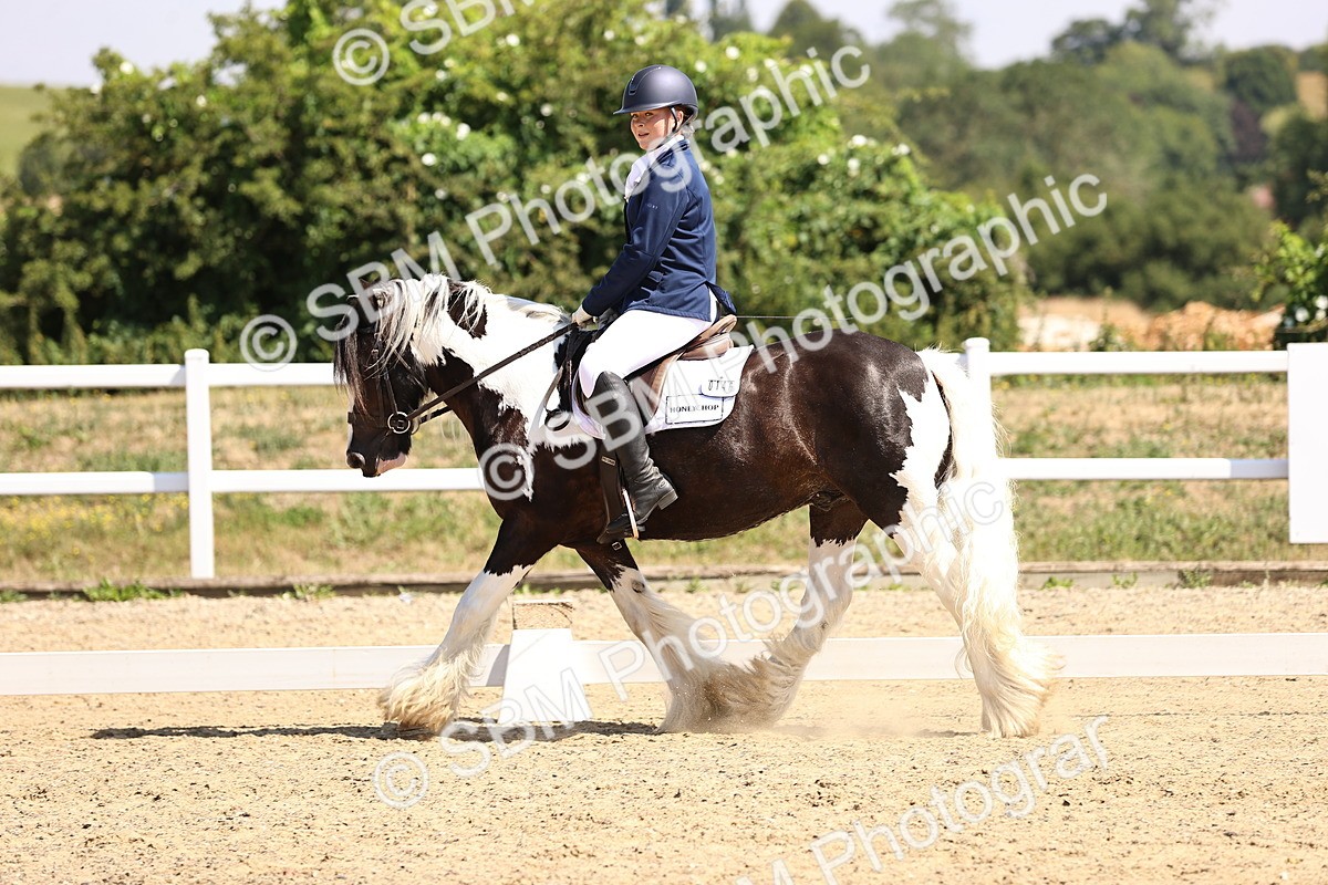 SBM_003743 - Intro 2