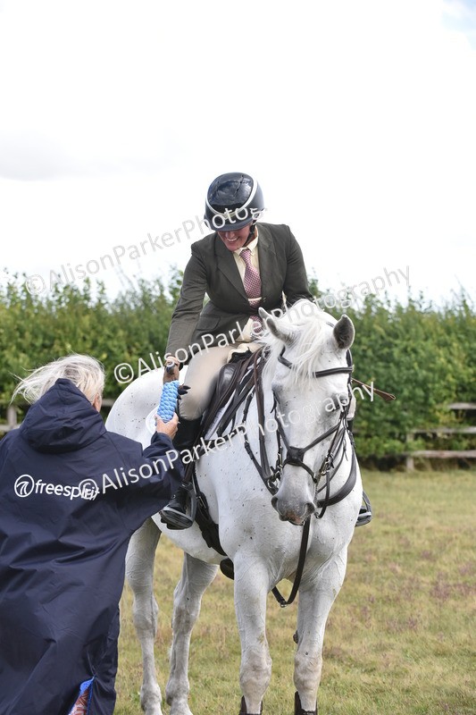 20250831-4131 - Class 13 - Working Hunter Horse or Pony