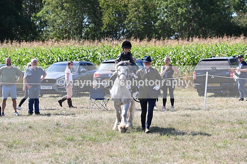 WJ6_7922 - Class 36 Lead Rein
