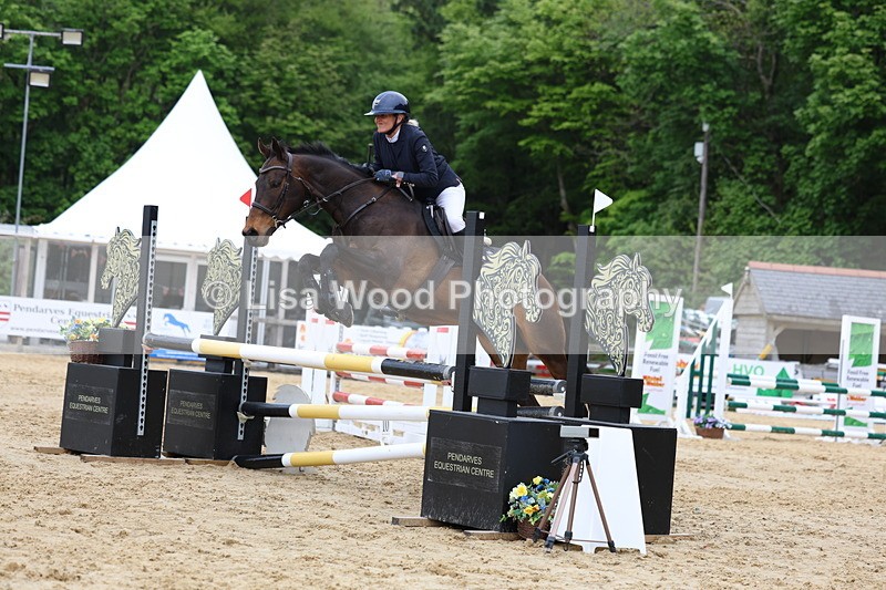 3E7A6464 - Class 4: Senior British Novice/90cm open