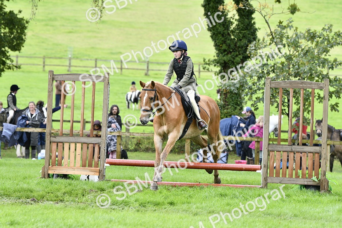 SBM_41479 - S32 - Mountain & Moorland Working Hunter Pony