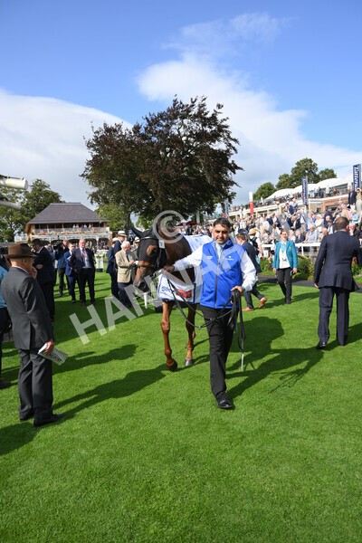 yr18082021r3-109 - Race 3 3.00pm Sky Bet Great Voltigeur Stakes