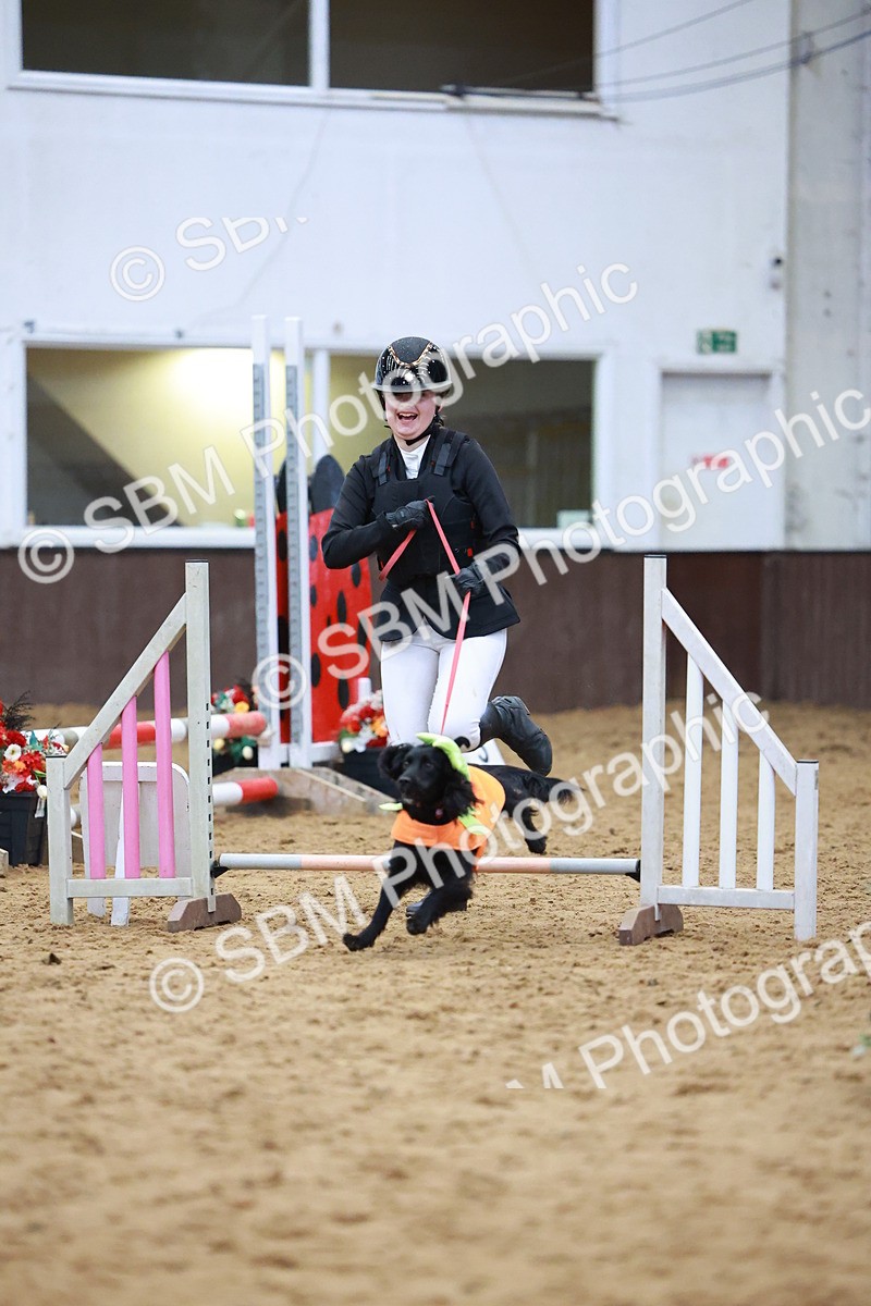 SBM_001688 - Class 3 - Horse & Hound (60cm)