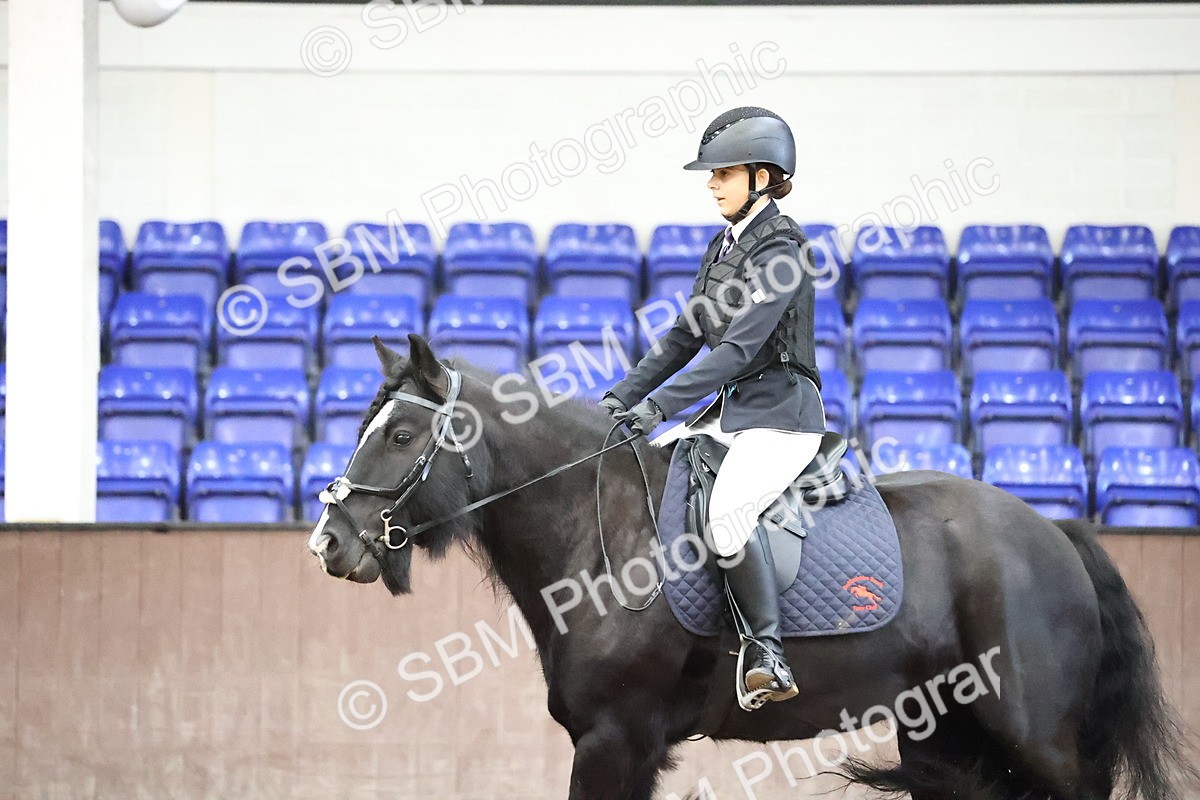 SBM_000184 - Class 2 - The Rug Lady 40cm Area 12 Championship Qualifier