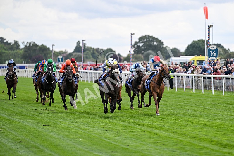 210826-Race 3-Arapaho Gold-5735 - Race 3 15.00pm Al Basti Equiworld Dubai Gimcrack Stakes