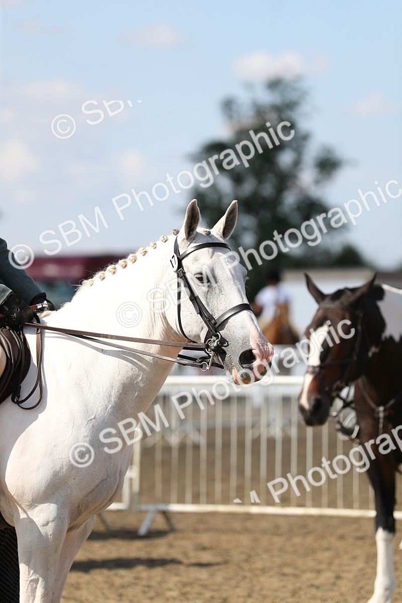 SBM_03258 - Class 44 Riding Club Horse/ Pony
