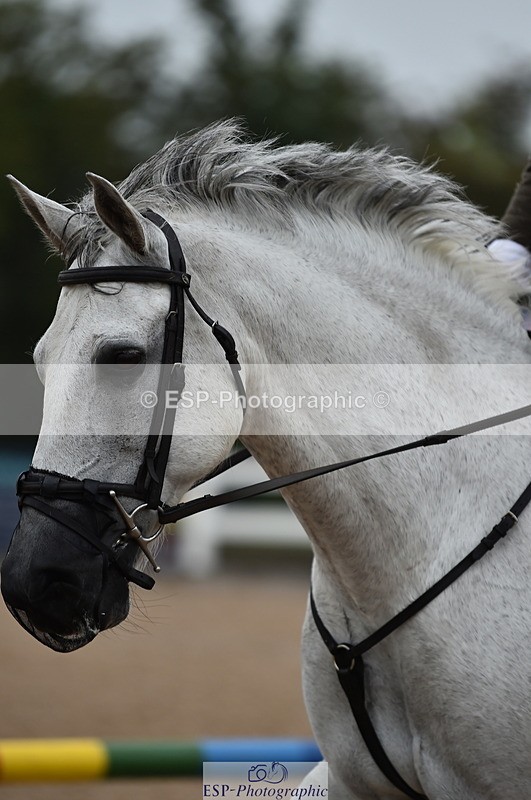 220829A-153444-00098 - Clear Round & 60cm  1a - 1b