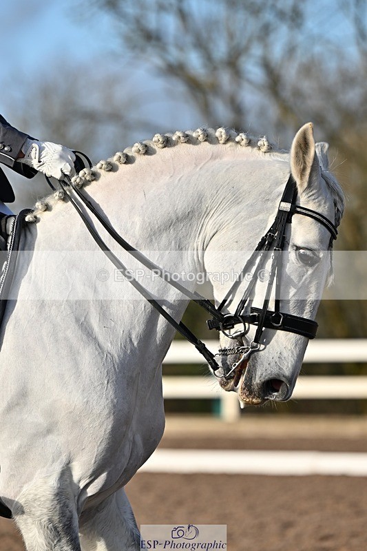 241214-134816-02584 - 102-PAULA.LEE-Deseado.Santo