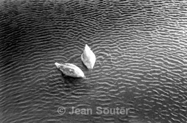 BW9 - Black & White