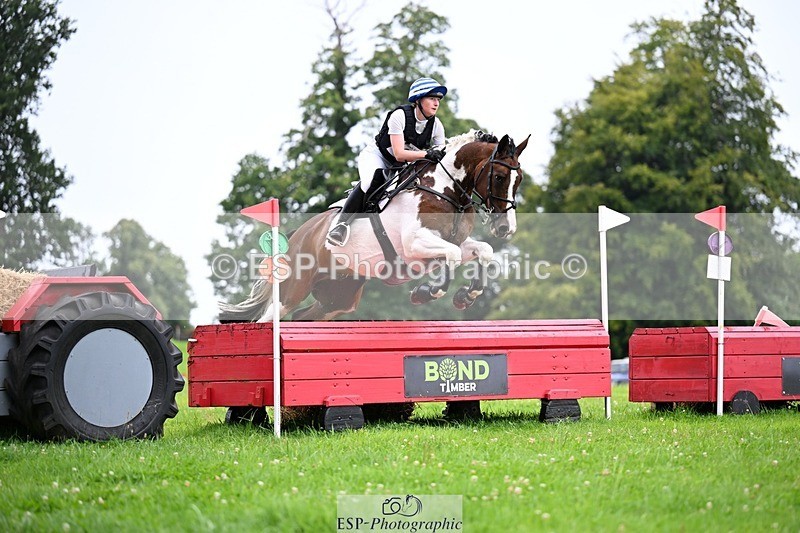 240803-115212-03030 - 026-Amber_Williams-COSMIC_MIKADO