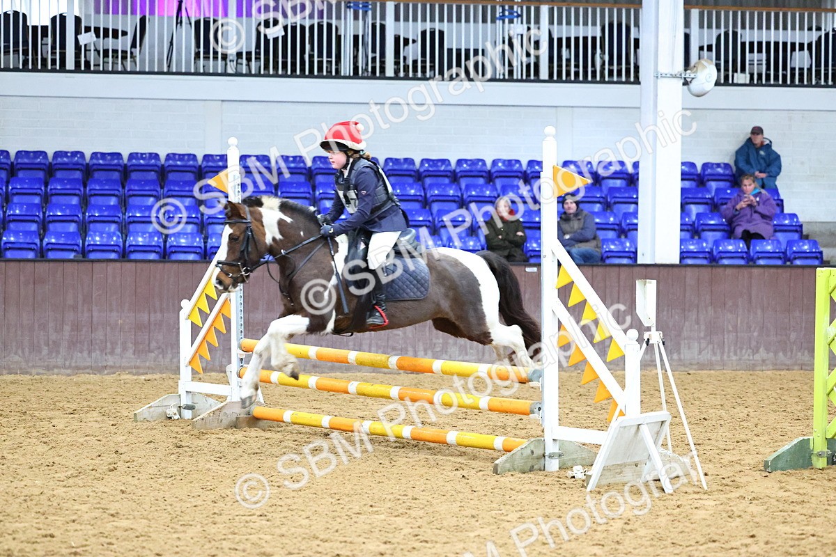 SBM_001233 - Class 3 - Christmas Tree Stakes - 60cm