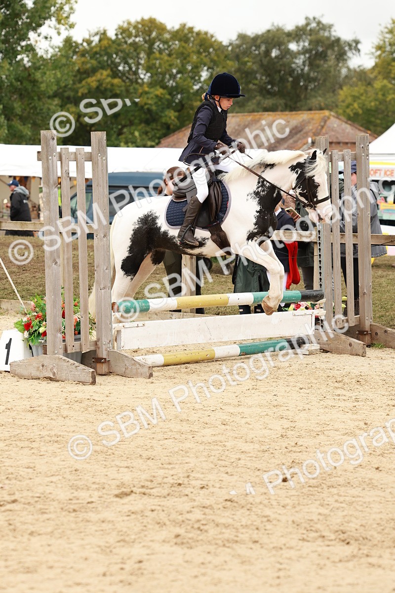 SBM_62126 - J12 - Junior Pony 55cm Championship