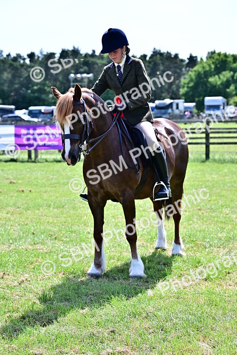SBM_08104 - Class 61-62 - TSR  M&M Ridden Amateur of the Year