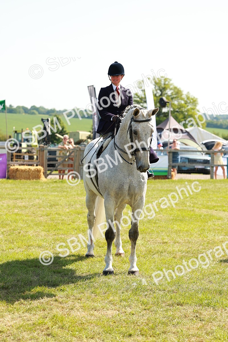 SBM_13380 - Class 70-71 - Side Saddle