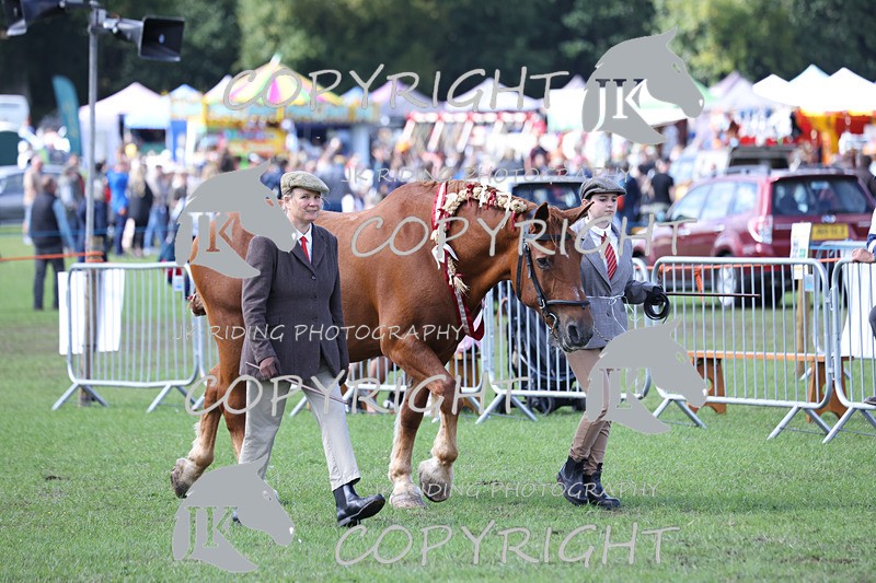 APP_3422 - Class 6 Young Handlers