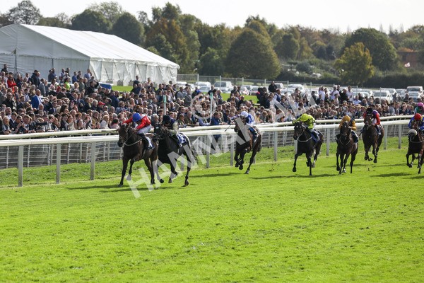 141023-Race 1-Purosangue-0257 - Race 1 1.15pm Coral Rockingham Stakes