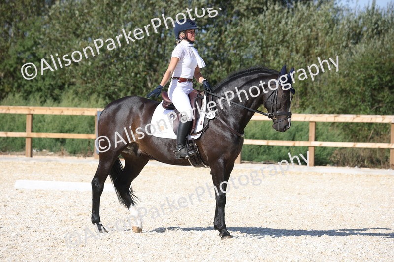 20260905-1646 - Class 5 - Novice 2