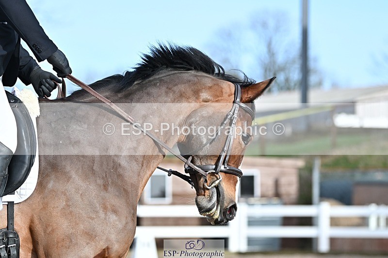 250125-110811-00266 - Dressage - CT Class 5 BE95 (90cm)