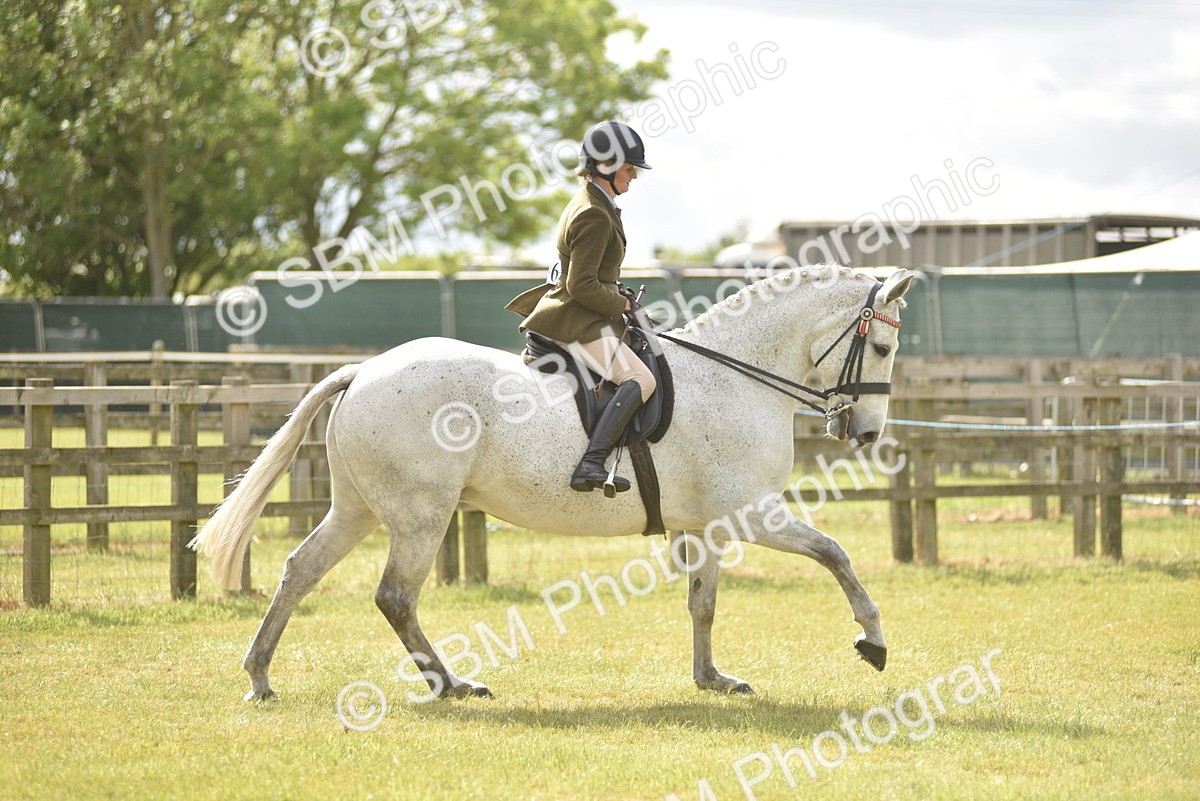 SBM_18110 - Class 122-123 - LIHS BHSA Raising Star Style and Performance Series