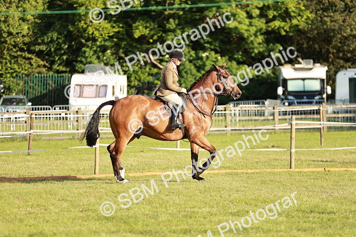 SBM_20438 - Class 117-119 - Sport Horse Working Hunter