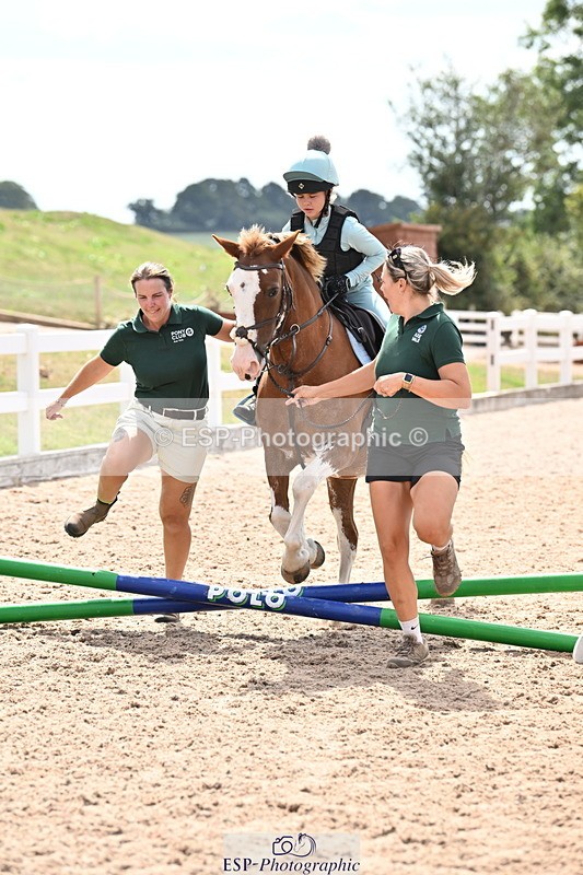 250821B-124300-00430 - Group D - Thomasina