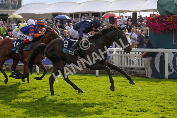 250823-Race 6-Battle Cry-5945 - Race 6 4.45pm British EBF 40th Anniversary Convivial Maiden Stakes