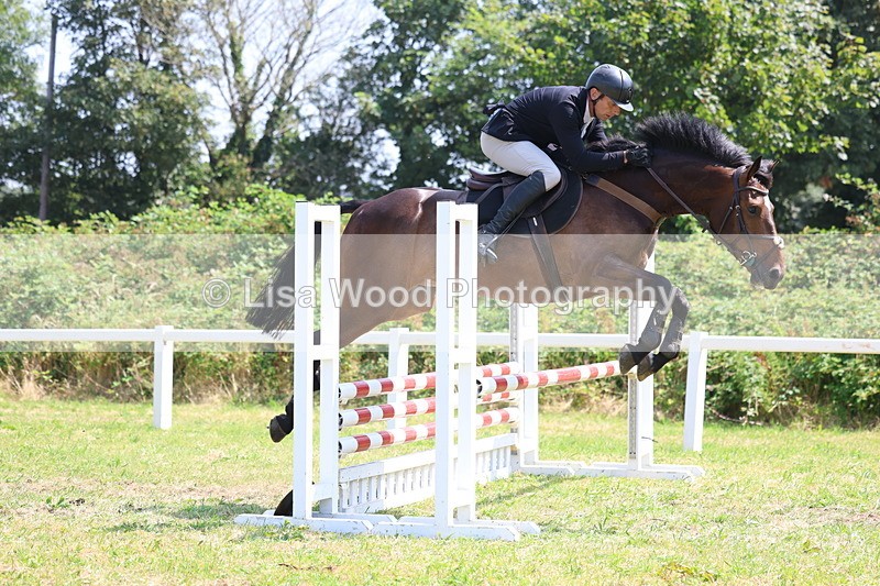 3E7A2869 - Class 7: Senior British Novice/90cm open
